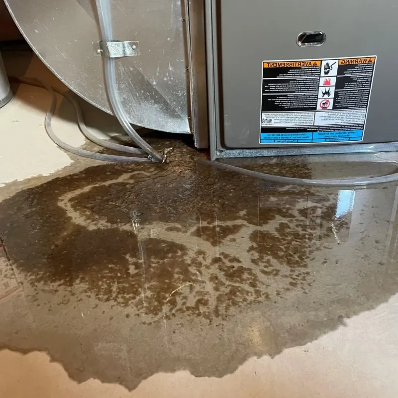 Pipe Burst and Leak Restoration in Dickenson County, VA