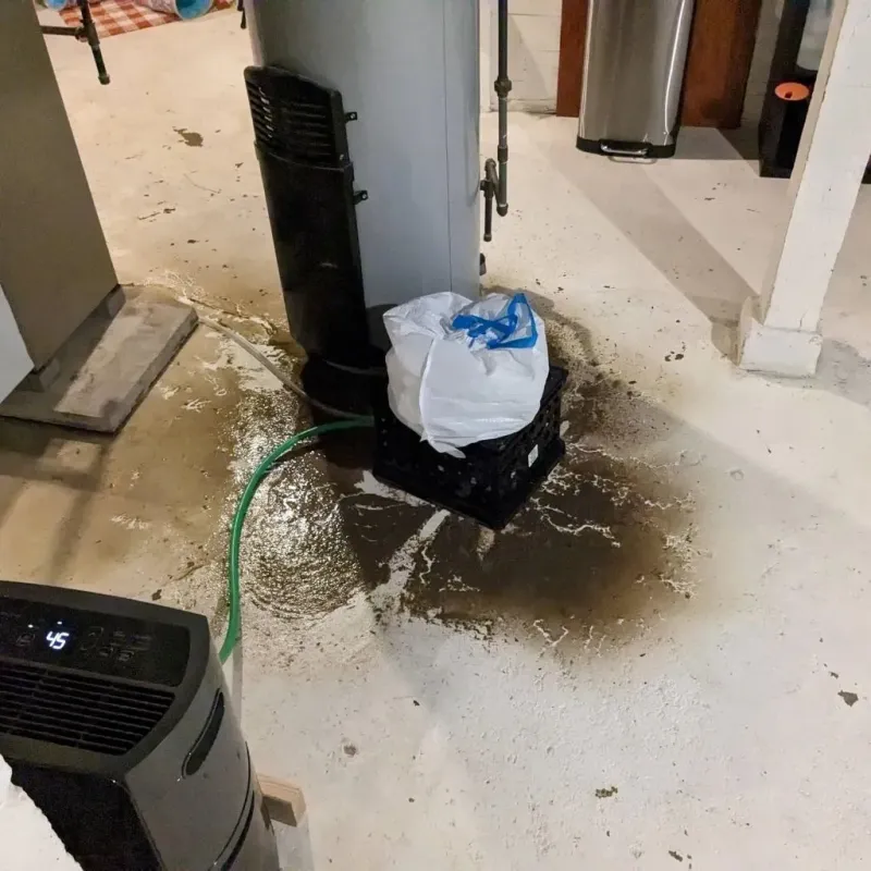 Sewage Backup Cleanup Service in Dickenson County, VA